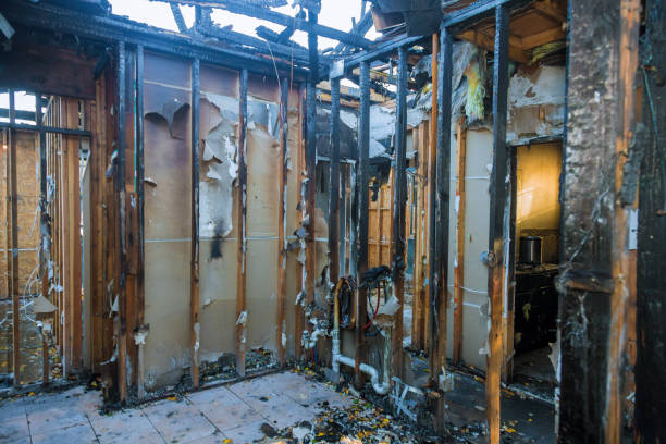 Professional Fire Damage Repair technician working in Otis Orchards-East Farms, WA